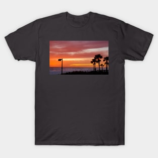 Multicolor Sunset in Palm Trees in Panama City Beach Florida T-Shirt